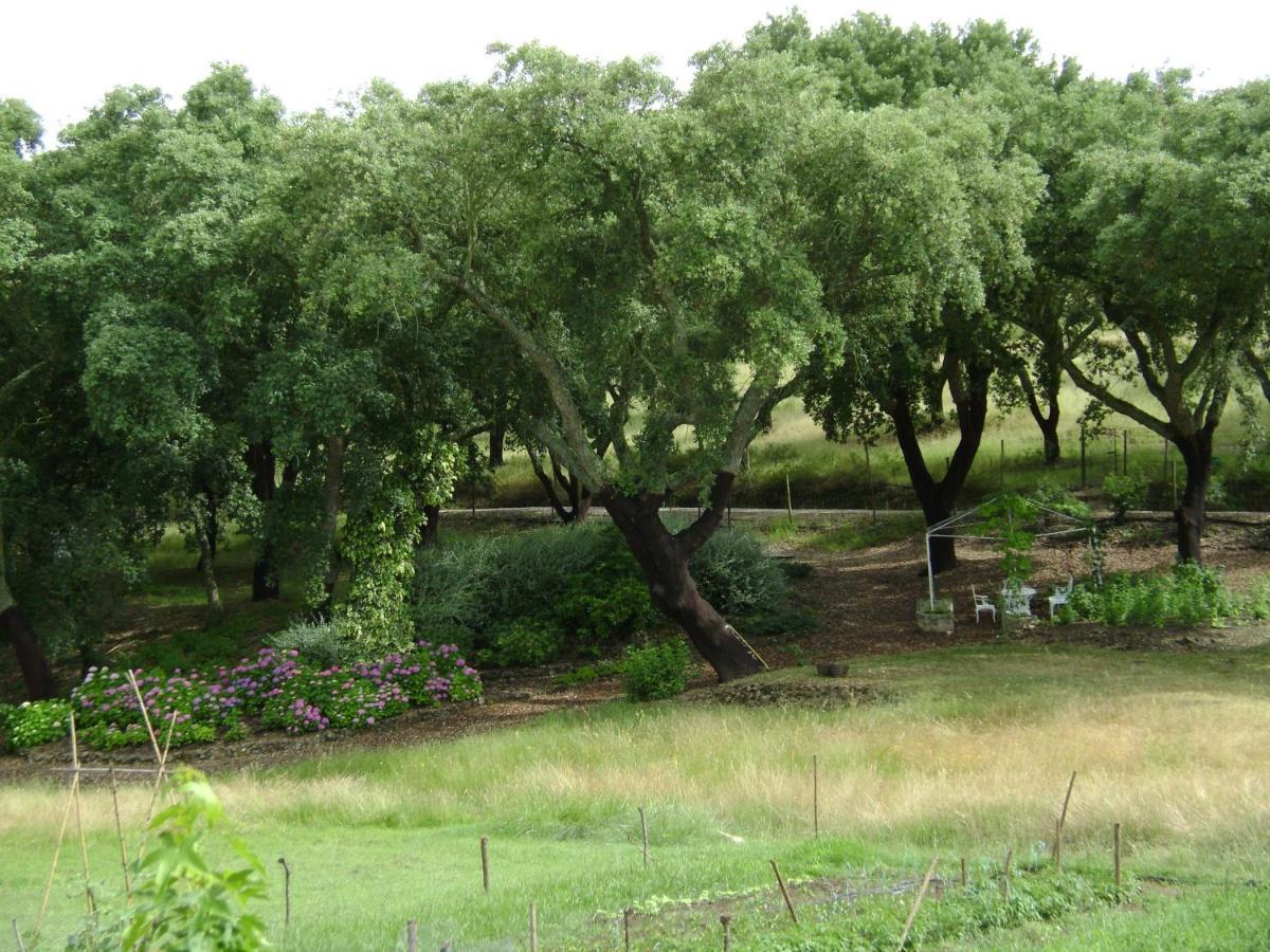 Quinta Do Cano Евора Екстериор снимка