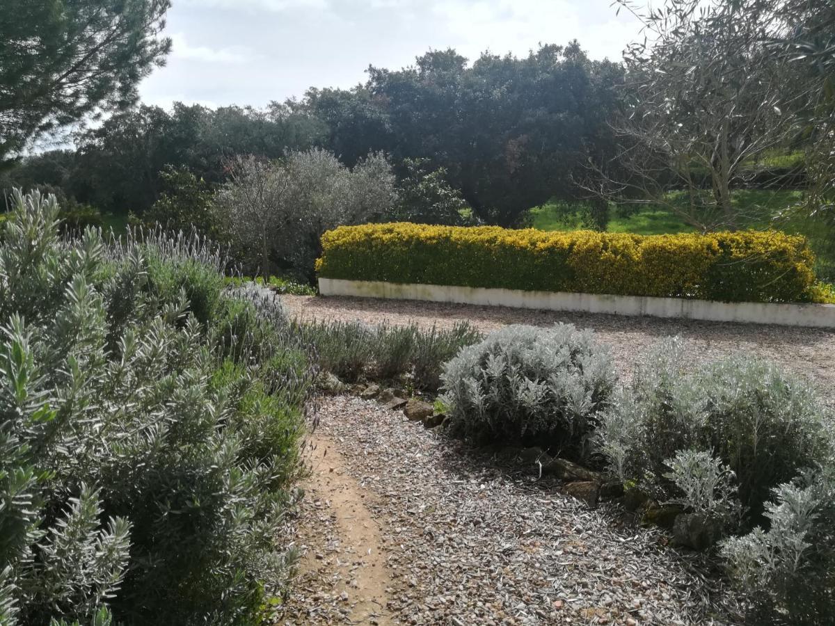 Quinta Do Cano Евора Екстериор снимка