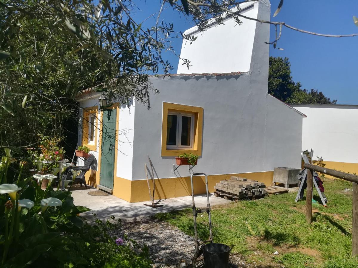 Quinta Do Cano Евора Екстериор снимка