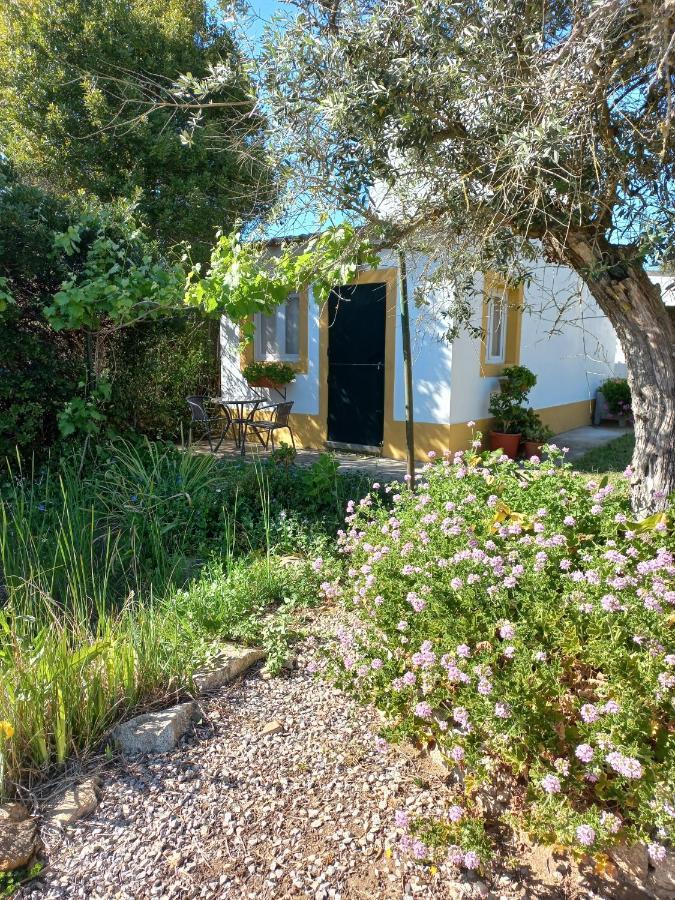 Quinta Do Cano Евора Екстериор снимка