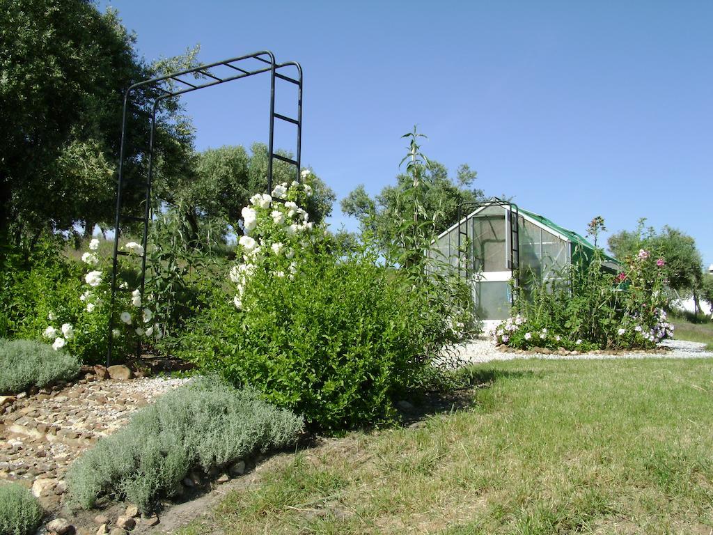 Quinta Do Cano Евора Екстериор снимка