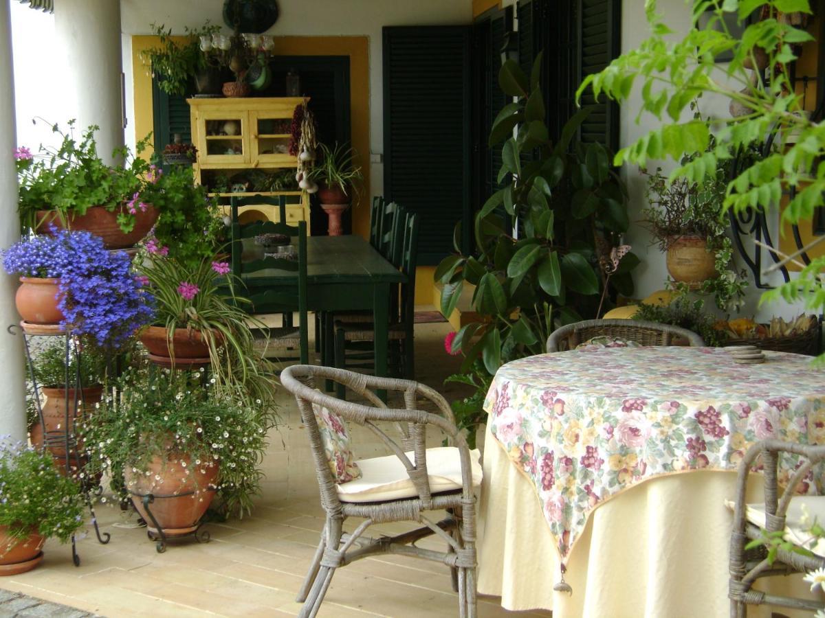 Quinta Do Cano Евора Екстериор снимка